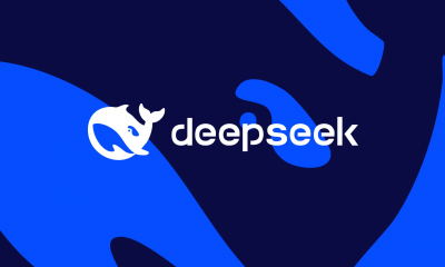 DeepSeek