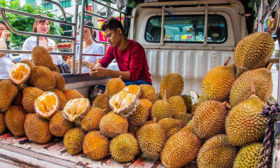 ទុរេន​ម៉ាឡេស៊ី