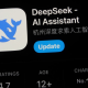 DeepSeek